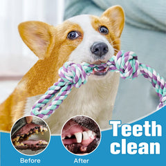 Limpieza dental suave con fibras de algodón de UPSKY durante el juego