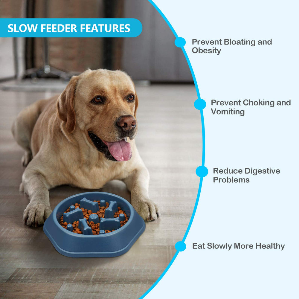 UPSKY adapté petits et moyens chiens, poids léger et durable.