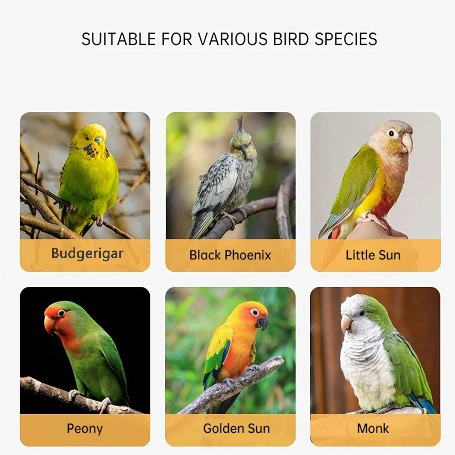 UtySty instrucciones de uso inicial para adaptación del loro