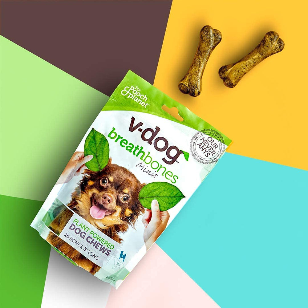 Graines de chia renforçant dents et os dans la friandise vegan.