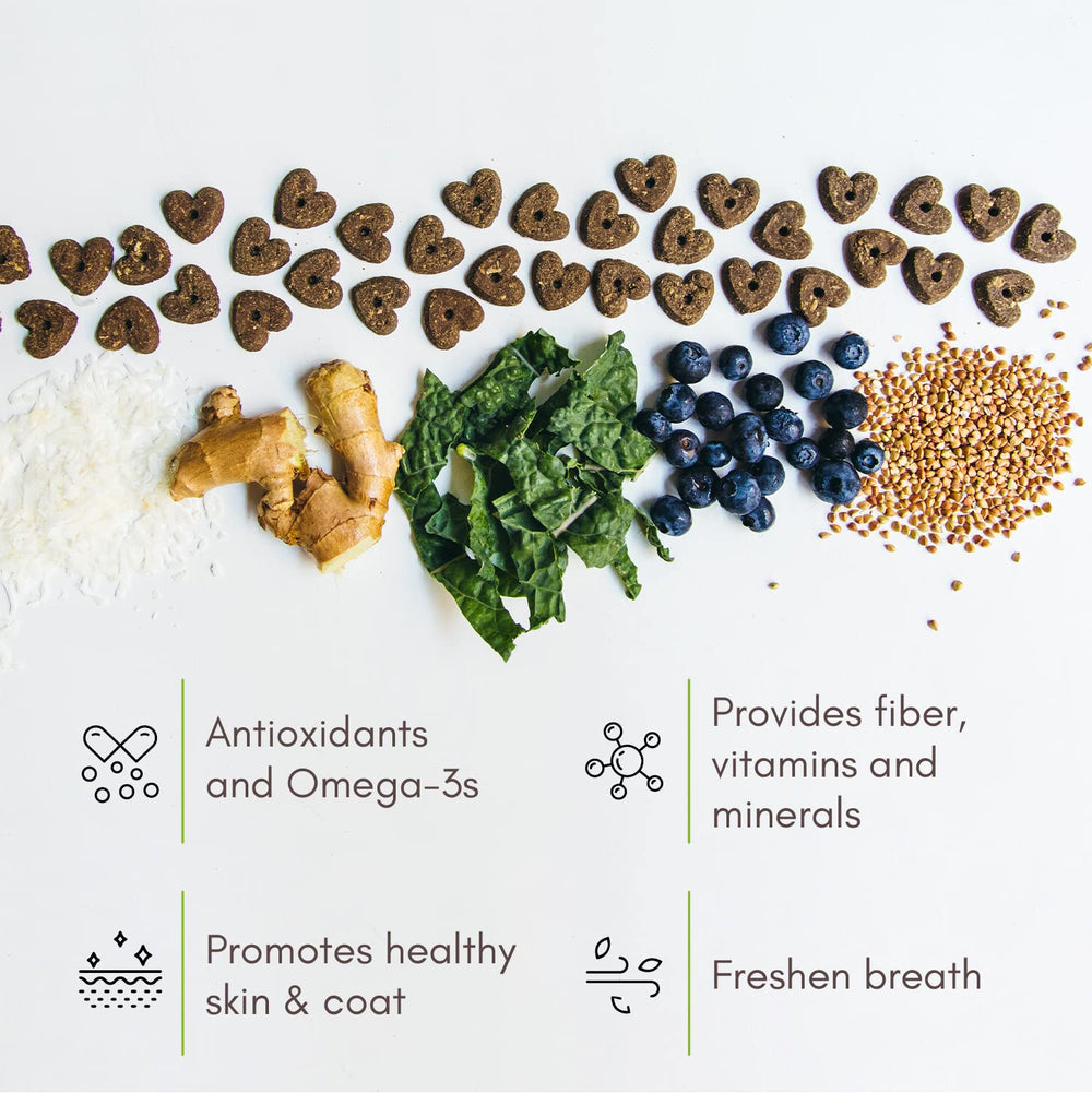 Ingredientes vegetales: trigo sarreno, coco, kale y jengibre