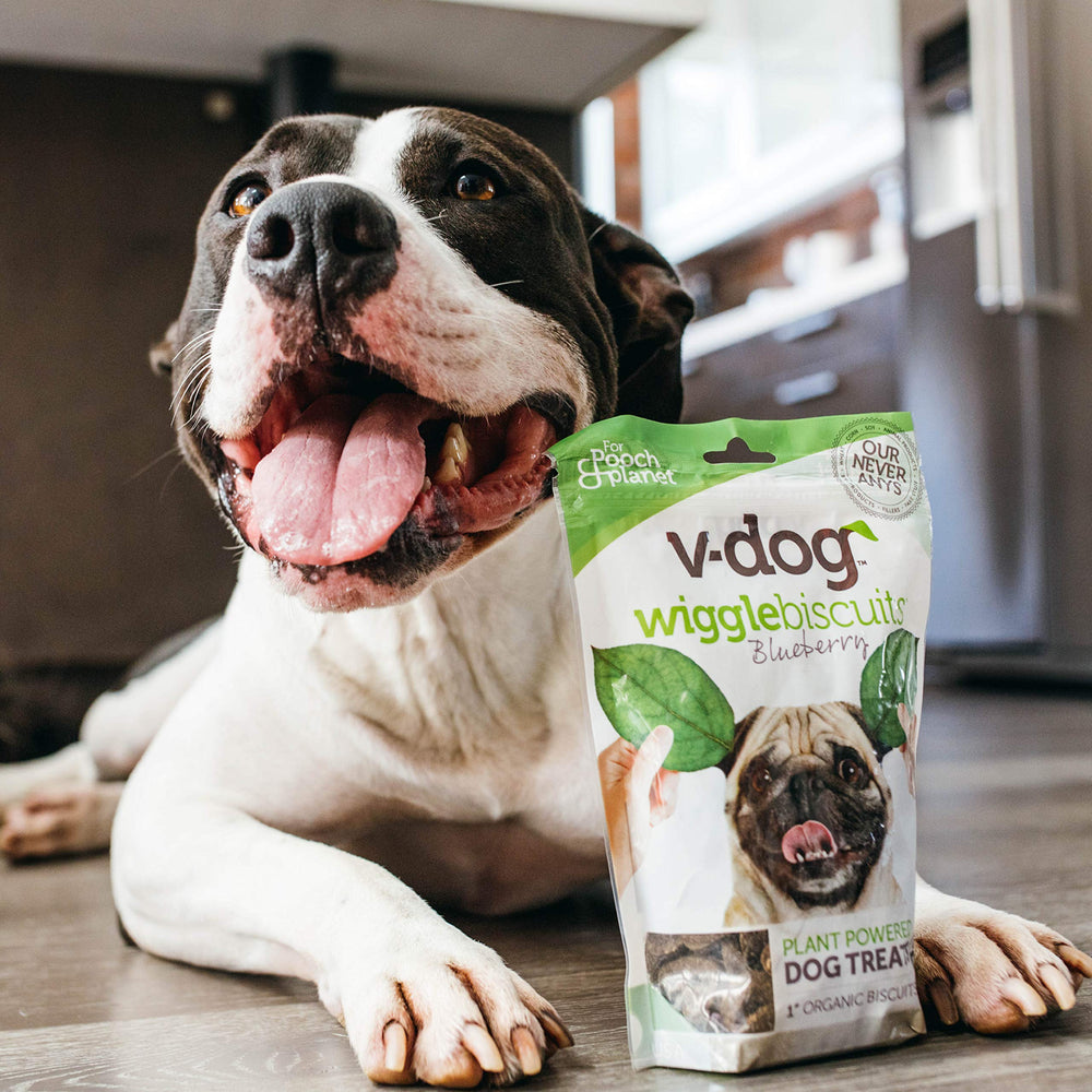 V-Dog snack vegetal para perros, opción ética.