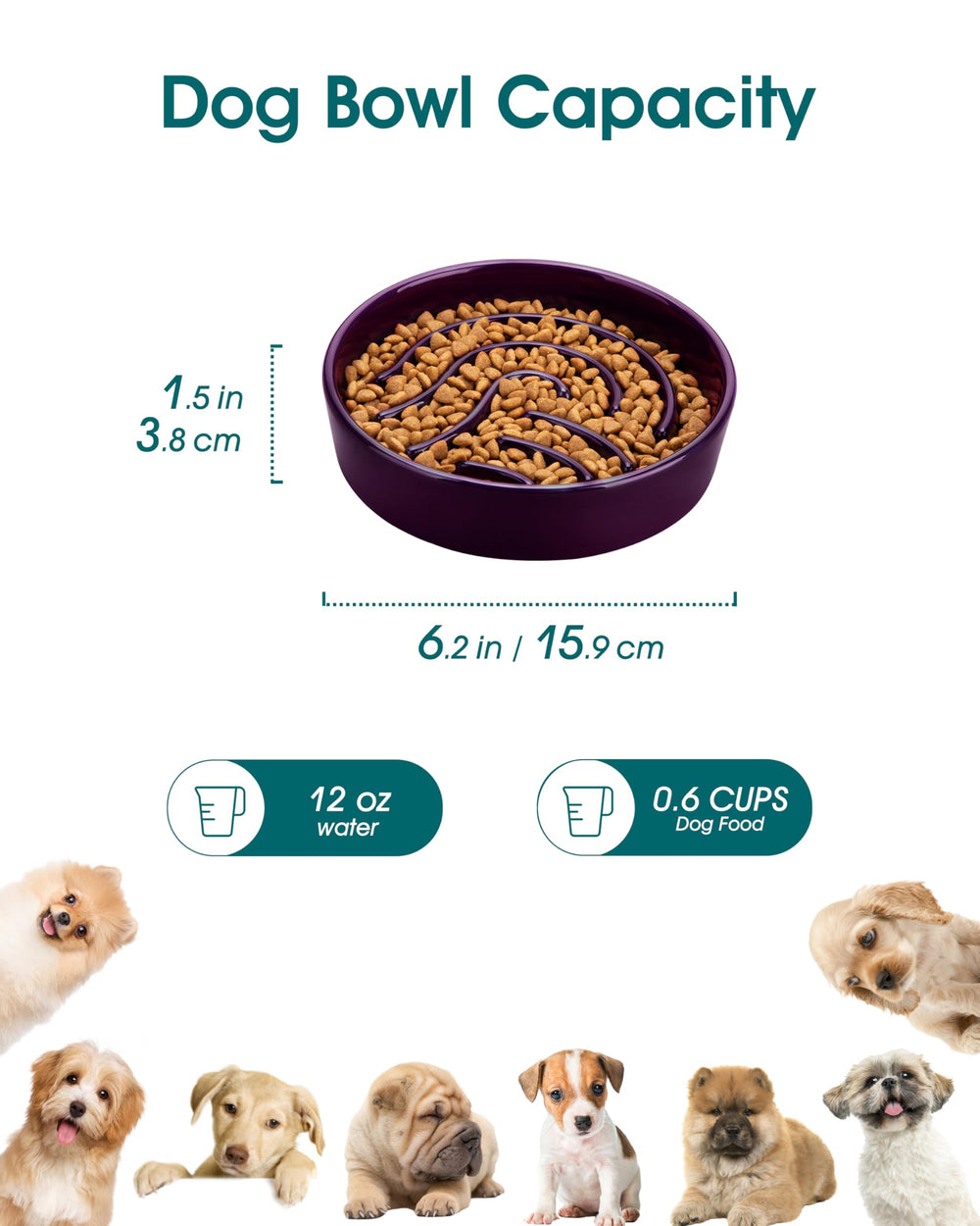 Vancasso cerámica sin plomo y esmaltada, superficie higiénica para mascotas.
