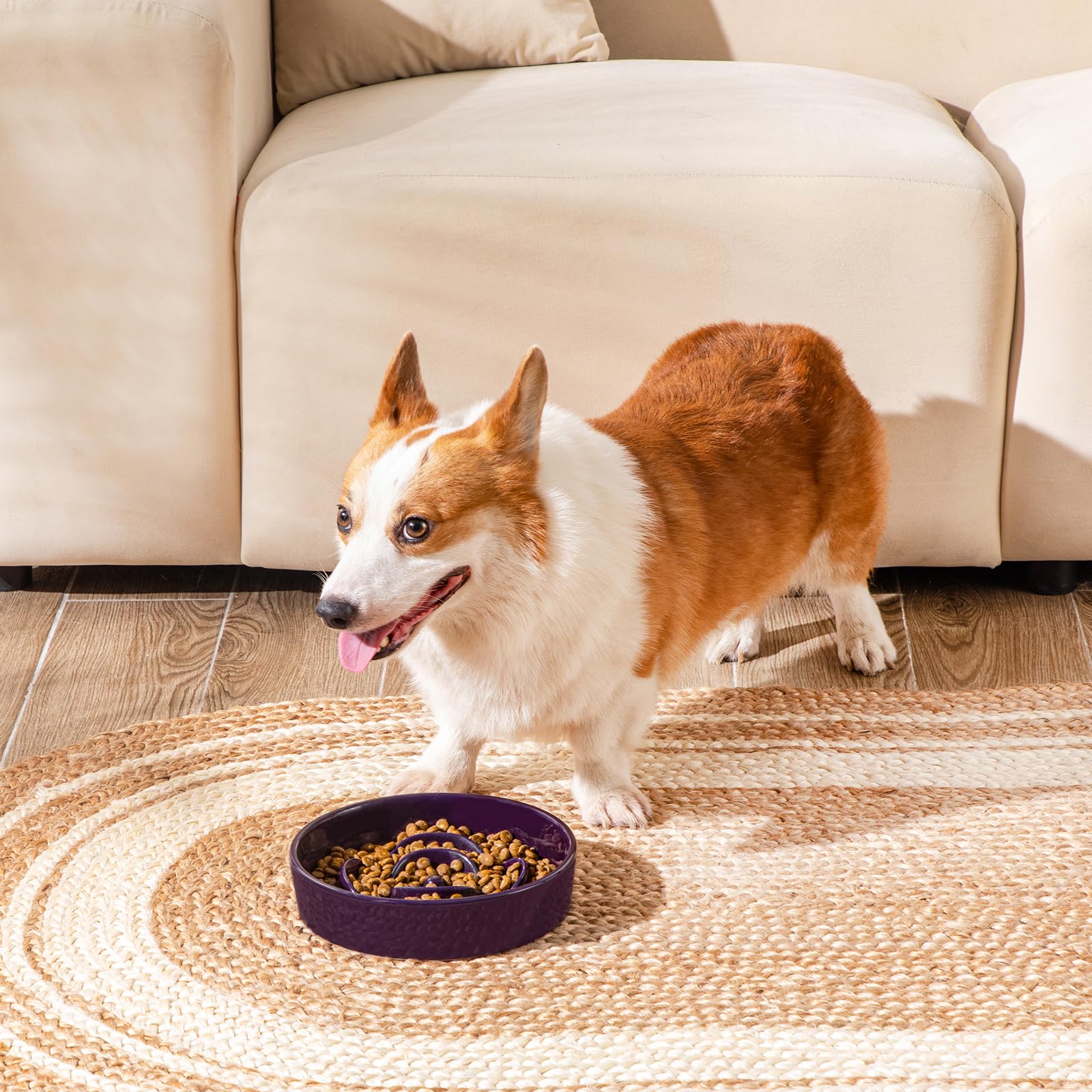 Vancasso apto para mascotas medianas como chihuahuas y pomeranias.