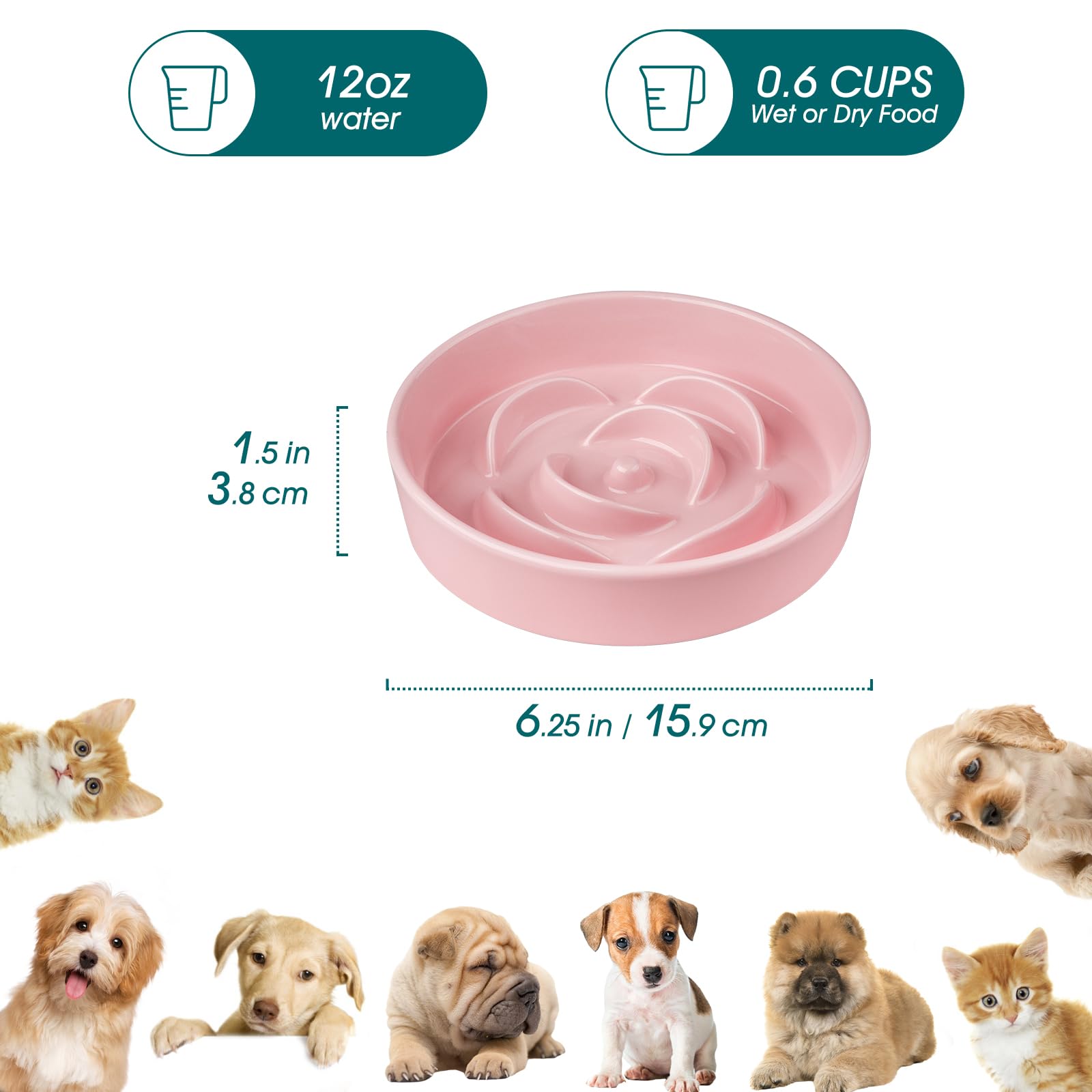 Vista del tazón cerámico para perros y gatos pequeños promueve comer despacio