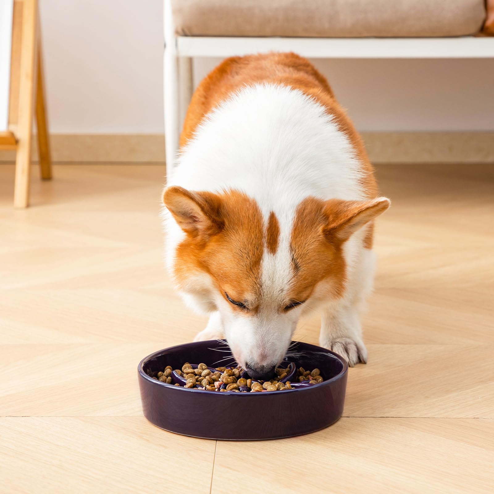 Tazón cerámico Vancasso para alimentación diaria de perros medianos