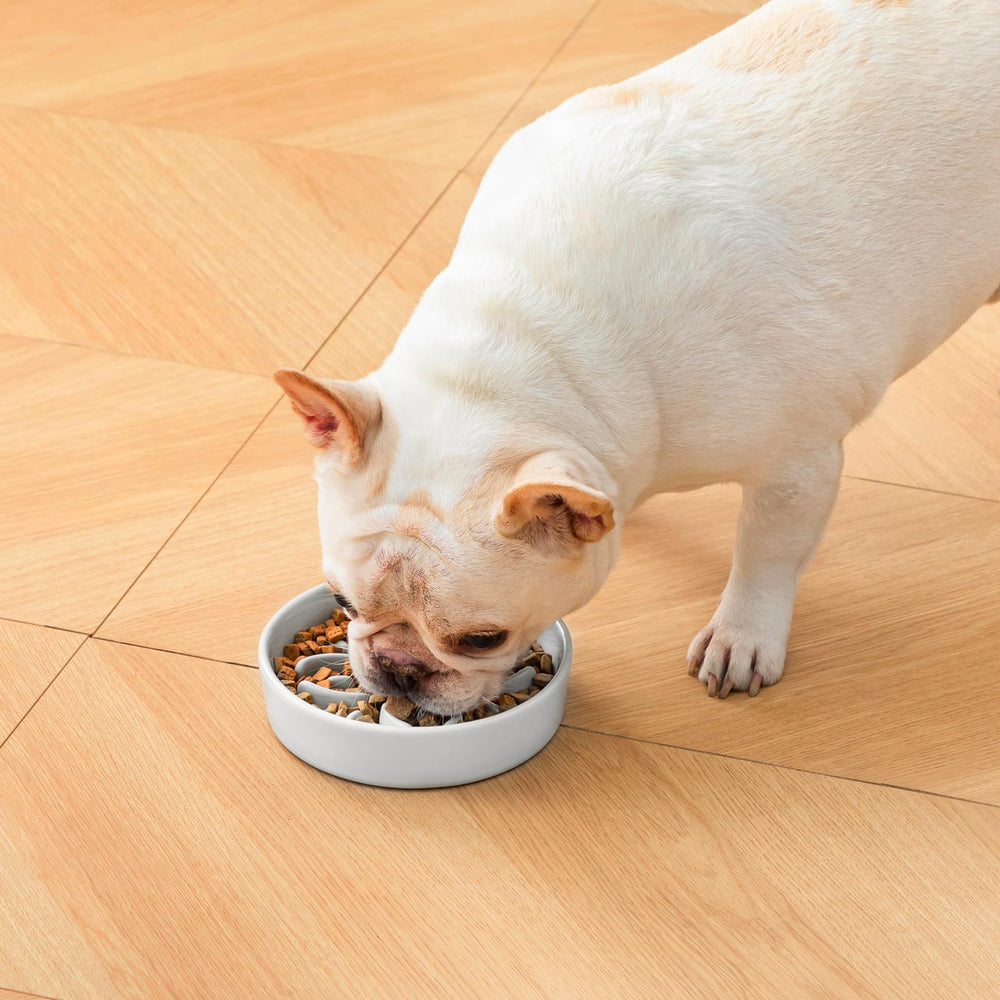 Vancasso uso diario para alimentación de perros, duradero y práctico