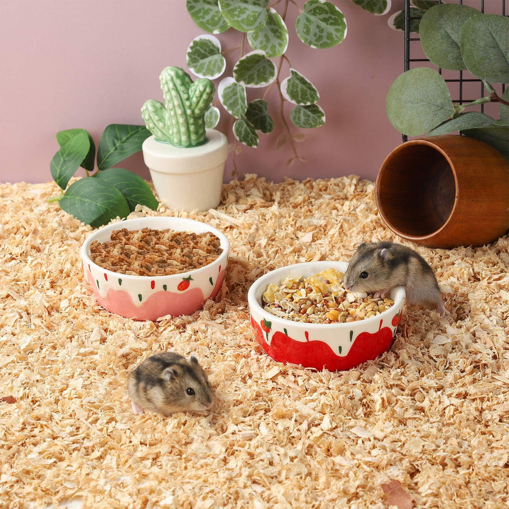 VanEnjoy doble pack tazones para hamster, ideal para separar comida y agua