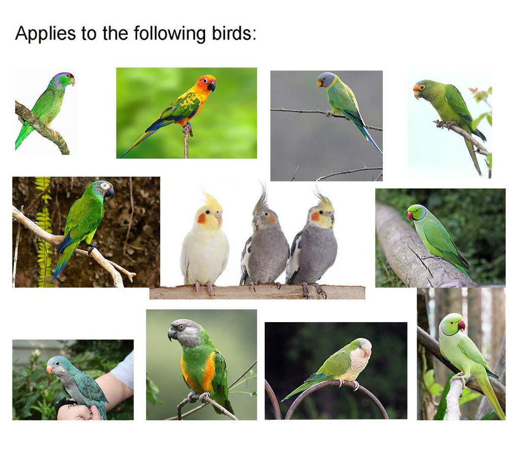 ARNÉS VANFAVORI cómodo para aves pequeñas, mejora la seguridad durante el vuelo.
