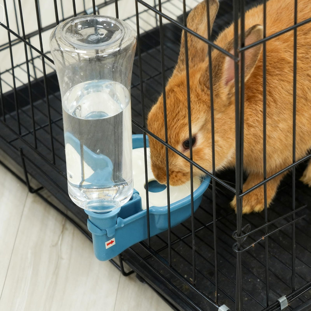 Dispensador Vannon azul para beber diario de mascotas