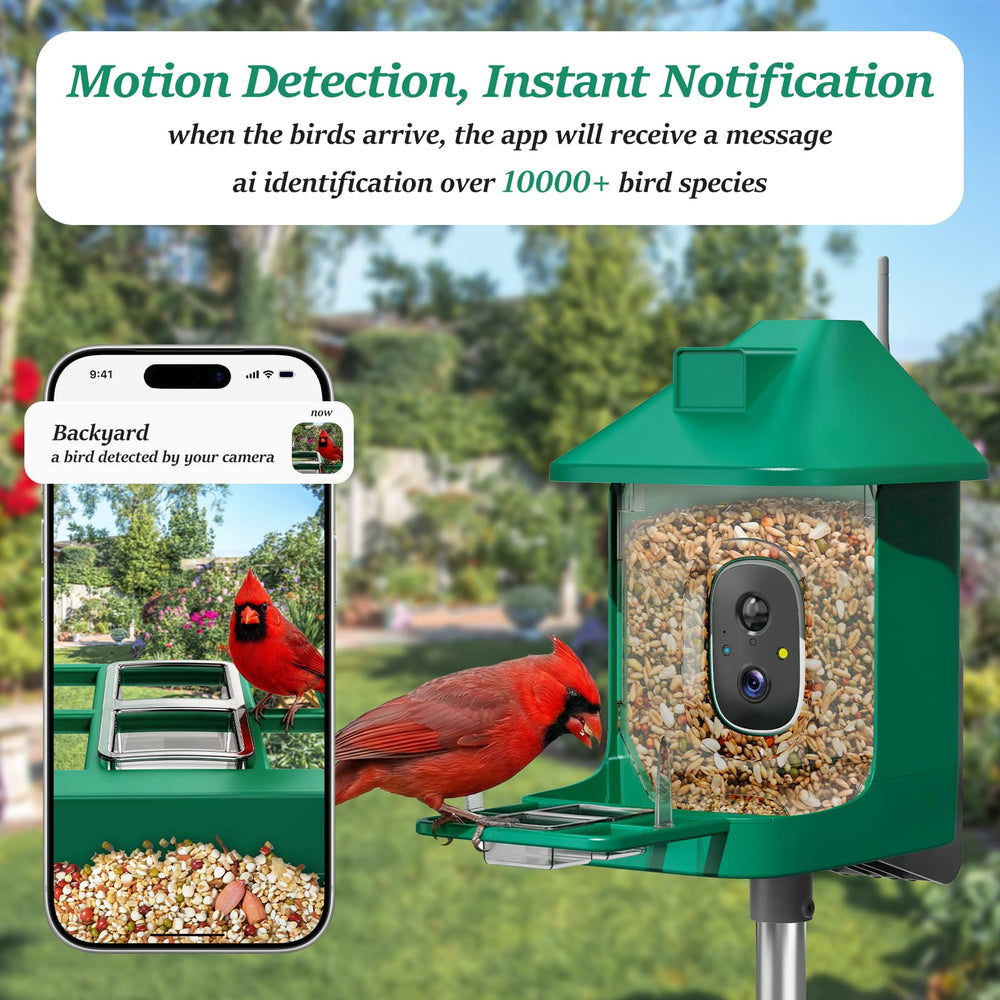 Vatjubi comedero-aves camara-170-grados permite amplia vista para identificar visitas