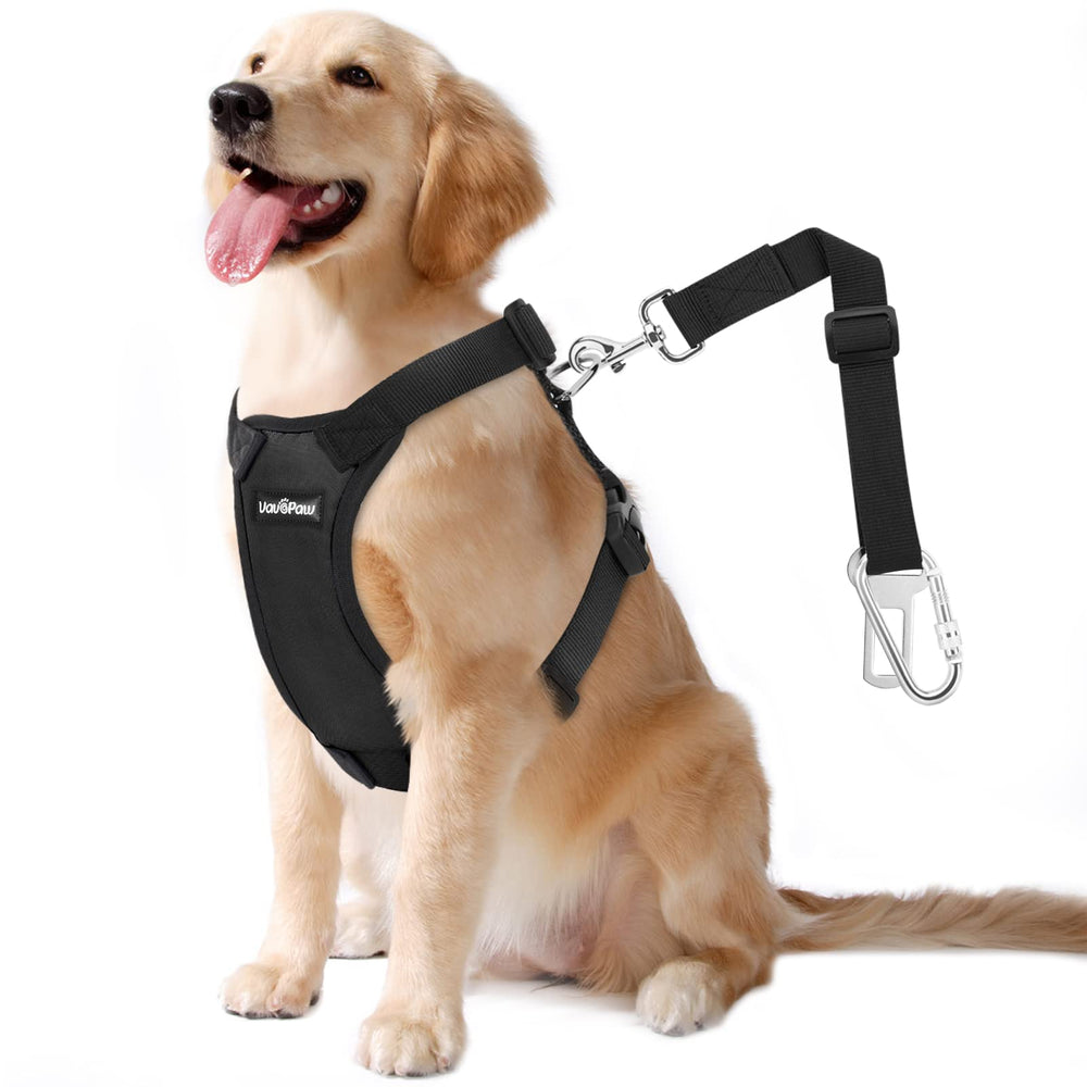 Cinturón de seguridad VavoPaw para perro XXL en coche