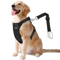 Cinturón de seguridad VavoPaw para perro XXL en coche