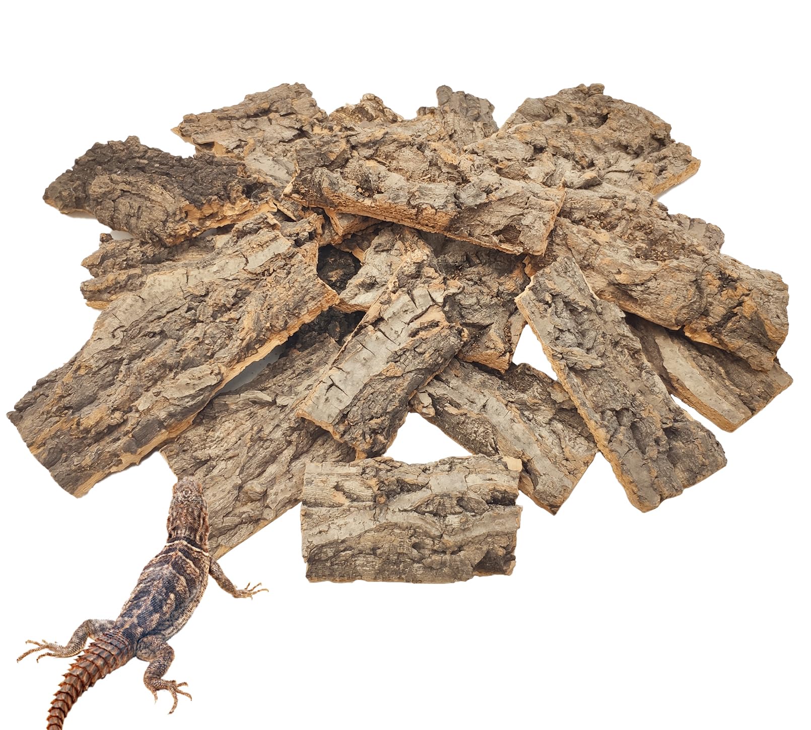 VCEPJH corcho natural para terrario, trozo grande mejora seguridad y juego