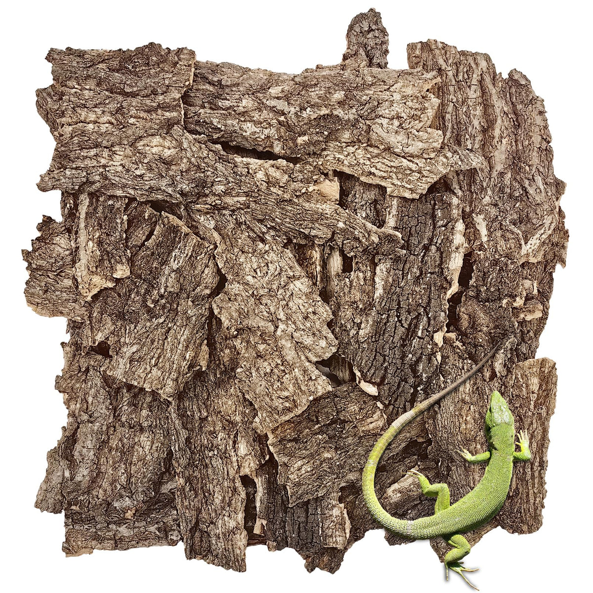 Corteza de corcho natural VCEPJH 2 lb, base segura para reptiles.