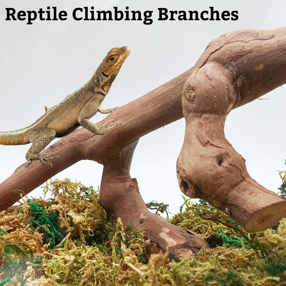 Rama trepadora VCEPJH para múltiples reptiles, versátil y fácil de usar.
