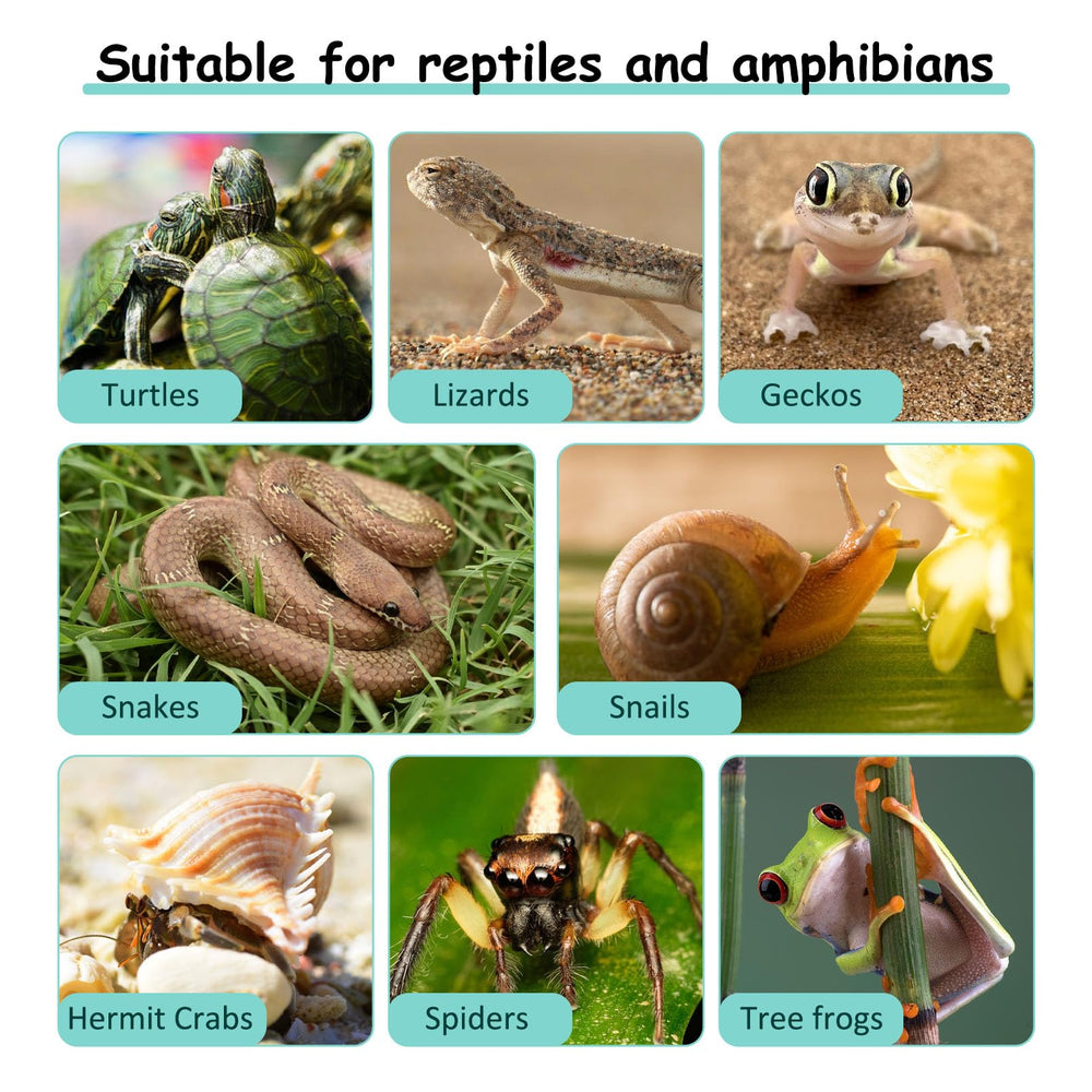 VCEPJH Substrato Coco Humedad Estable: ayuda a crear un microclima agradable para tu animal.