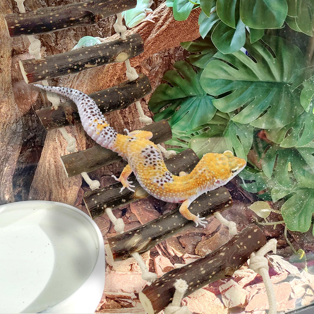 Accesorio de reptil VCEPJH en madera fruta, añade espacio de juego al tanque.