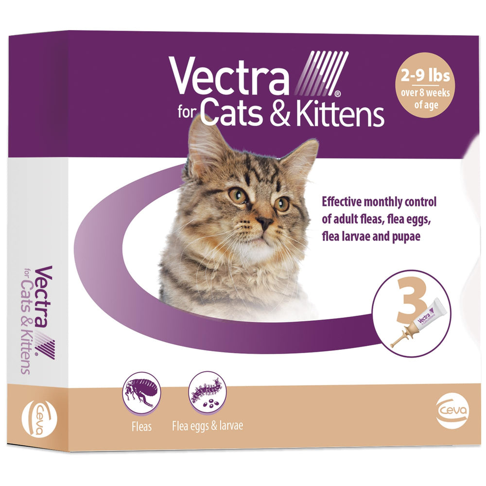 Vectra para gatos y gatitos, aplicador redondeado facilita la dosificación en la piel.