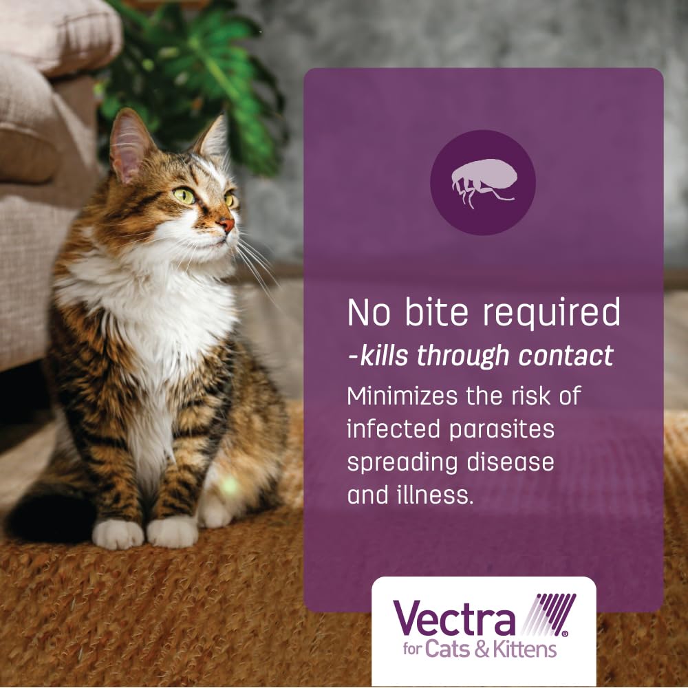 Vectra para gatos, elimina pulgas por contacto y reduce reinfestaciones.