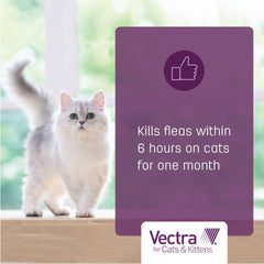 Vectra Gatos Grandes, aplicación rápida y seca sin grasa.