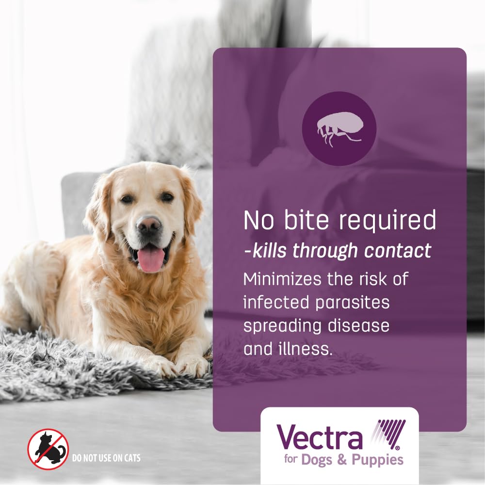 Vectra para perro pequeño: aplicación rápida y secado rápido para comodidad.