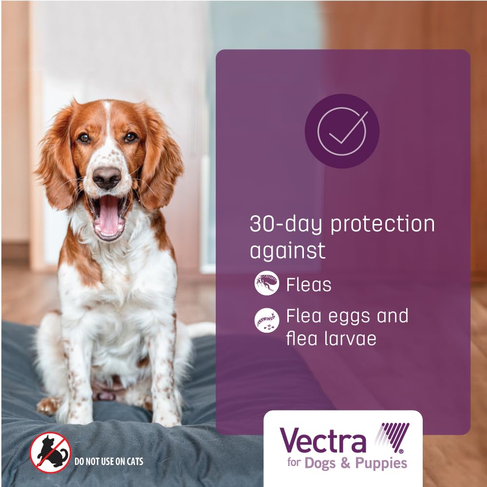 Vectra uso-interior-exterior: adecuado para perros dentro y fuera.