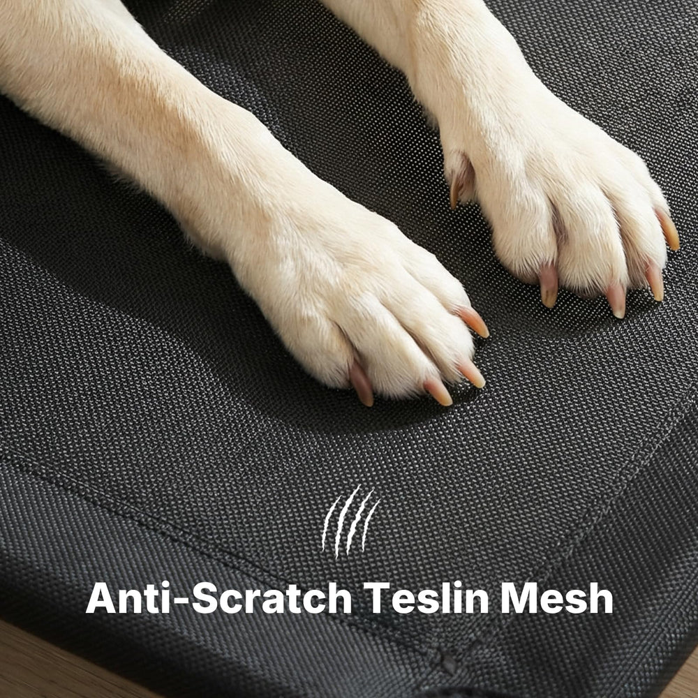 Cama para perro Veehoo montaje sin herramientas para uso rápido.