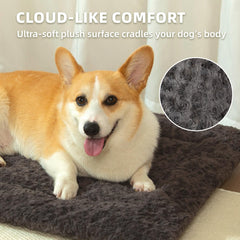 VERABE Cama para Perro 47x29 lavable a máquina para limpieza rápida.