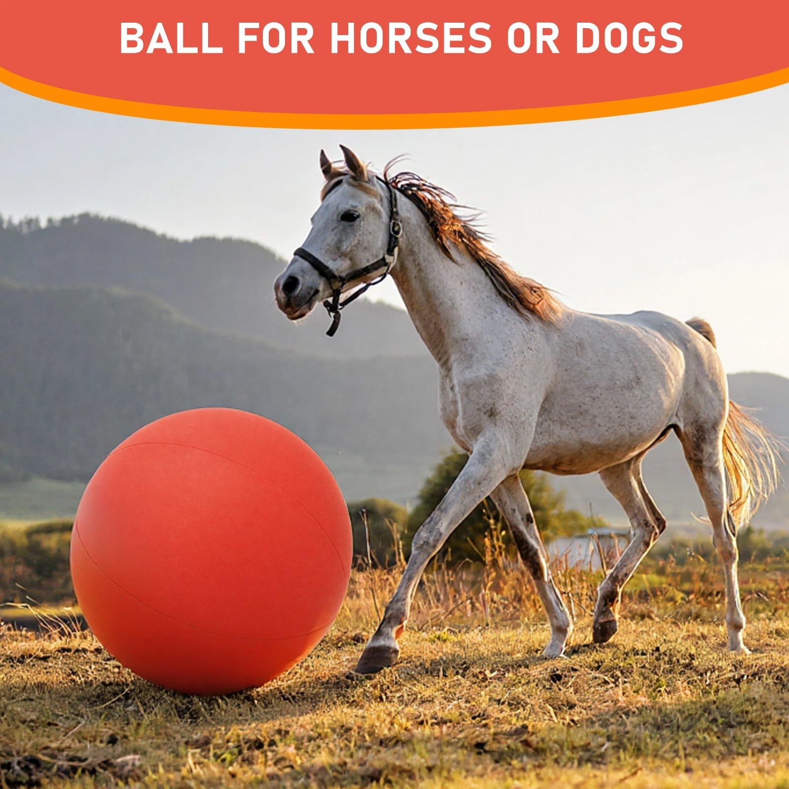 Juego completo para caballos: bola, funda y bomba para entretenimiento