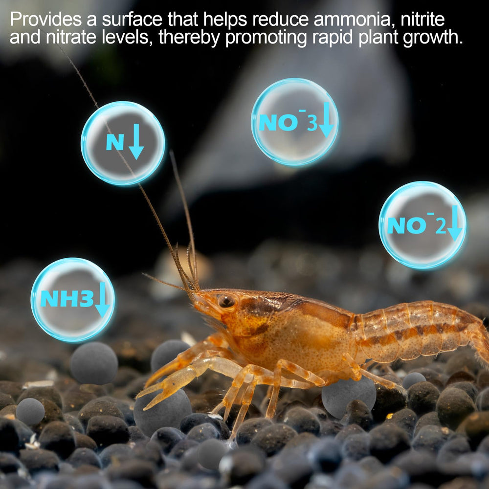 Verplexter Tourmalina para camarones: mejora la muda y vitalidad