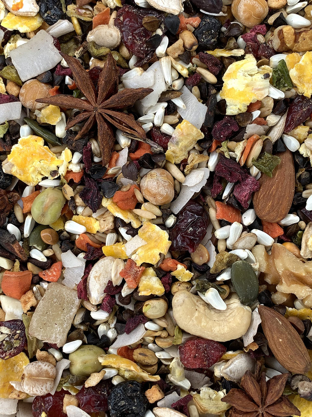 Versele-Laga Goldenfeast Central American Blend, ideal para cotorras y cacatúas, con forrajeo.
