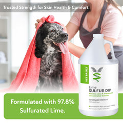 Vet Basics Lime Sulfur Dip, aplicación sin enjuague para uso práctico.