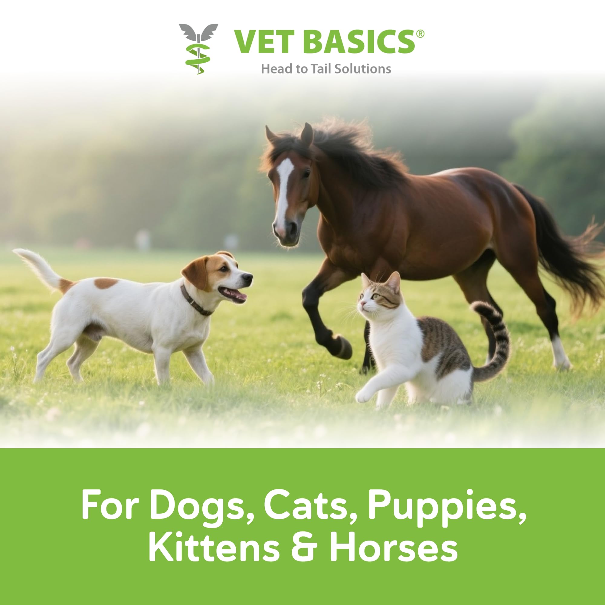 Vet Basics Lime Sulfur Dip, esponja de aplicación para uso práctico.