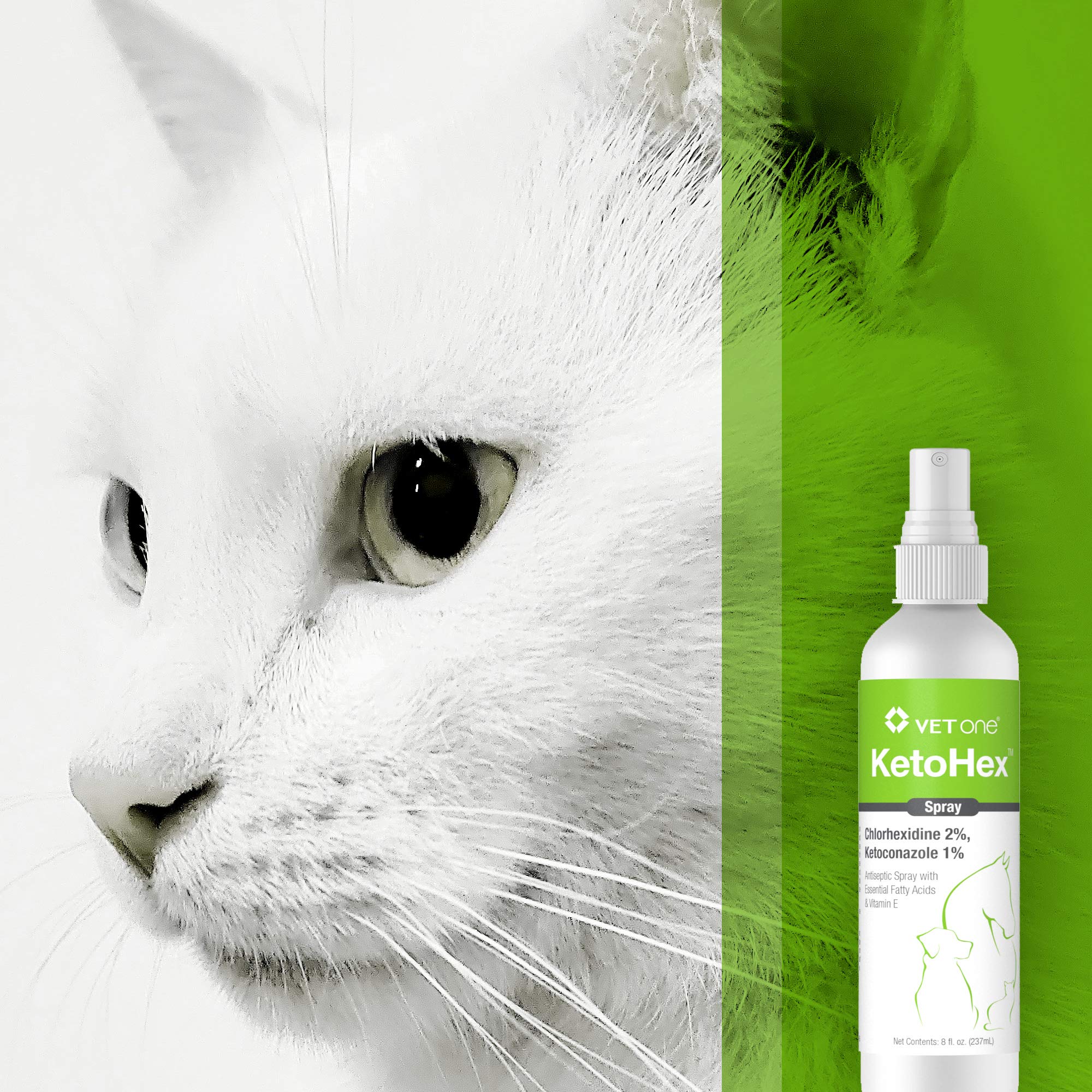 Vet One Ketohex Aerosol: aplicación fácil para zonas sensibles del animal