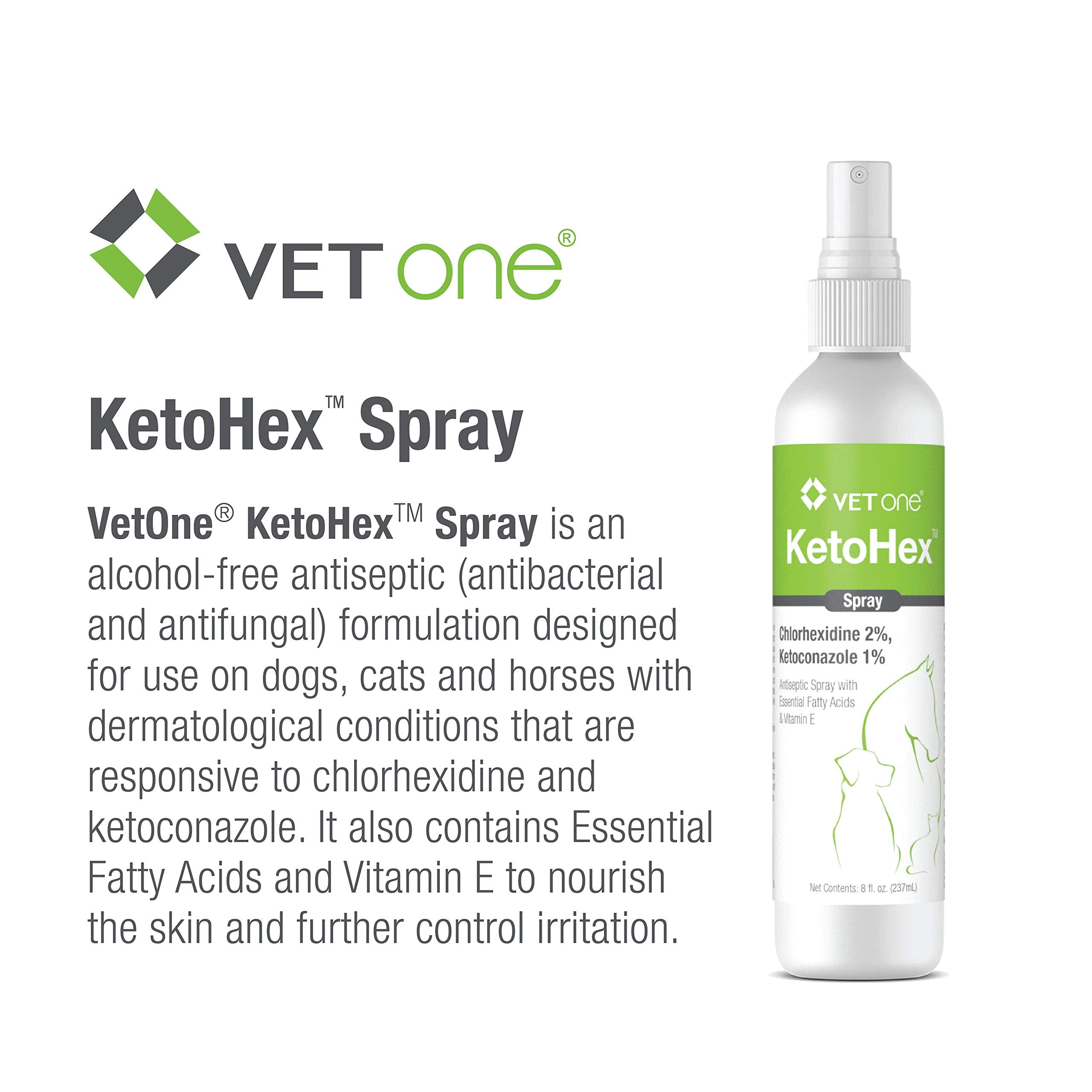 Vet One Ketohex Aerosol: diseñado para uso veterinario profesional