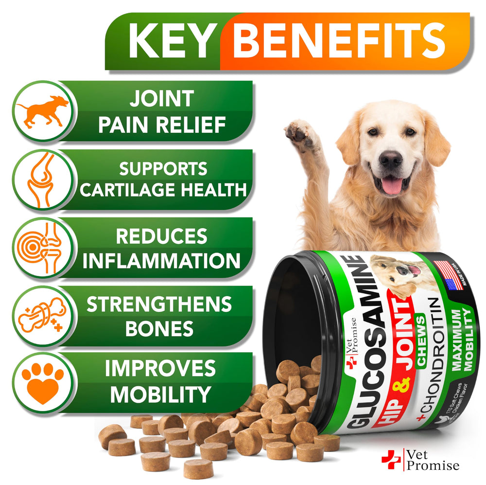 Vet Promise condroitina para articulaciones de perro, apoyo al cartílago.