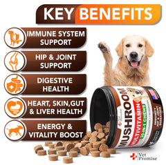 Vet Promise empaque de suplemento de hongo para perros