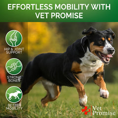 Vet Promise Glucosamina para perros, ingredientes naturales que apoyan la salud articular.