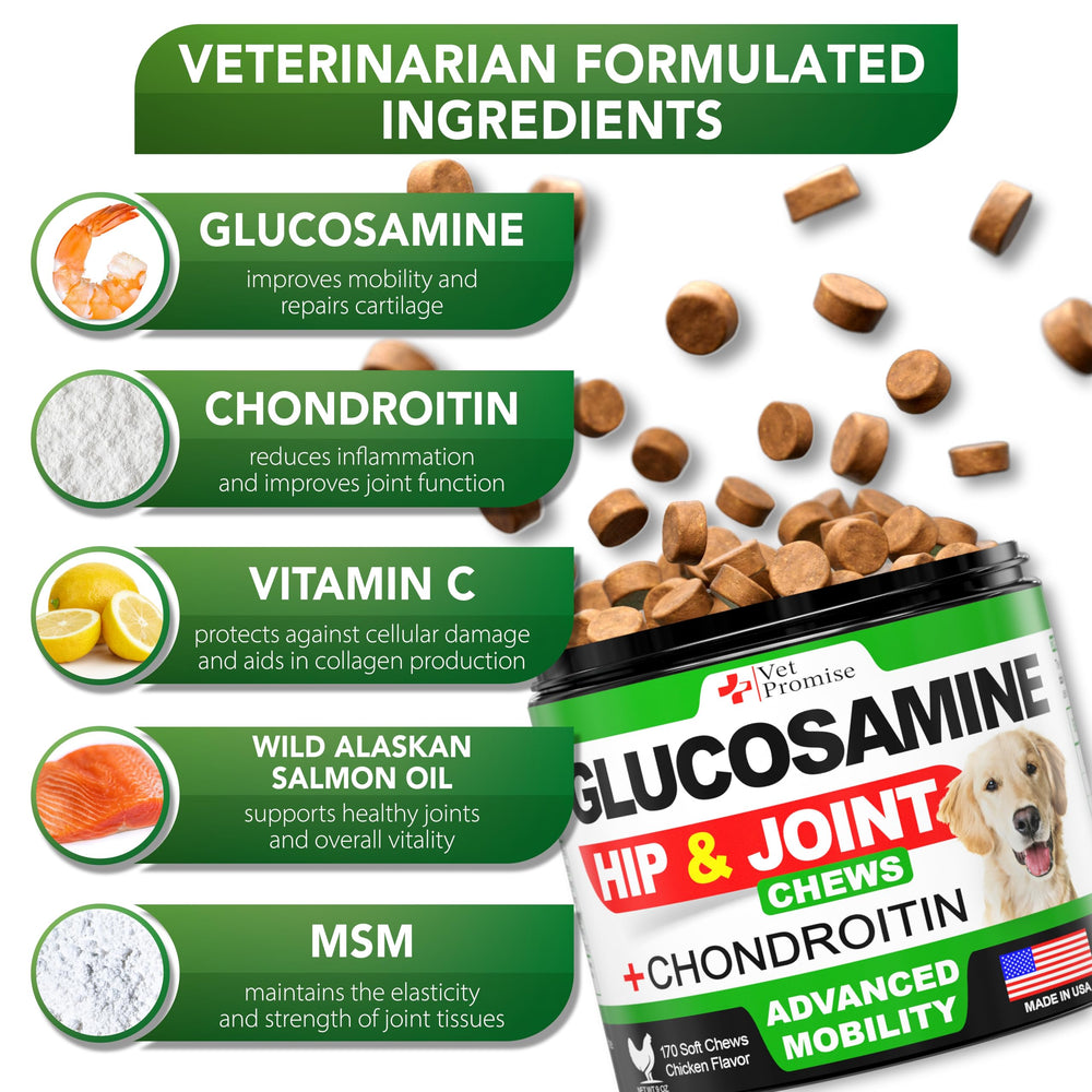 Vet Promise MSM para articulaciones de perro, ayuda a la flexibilidad.