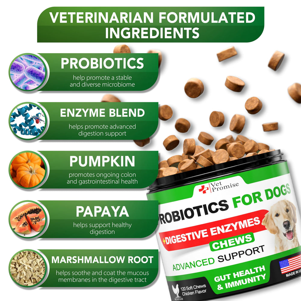 Vet Promise probióticos para perros - etiqueta frontal con beneficios y uso recomendado.