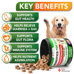 Vet Promise probióticos para perros - masticables, apoyo digestivo y salud de la piel.