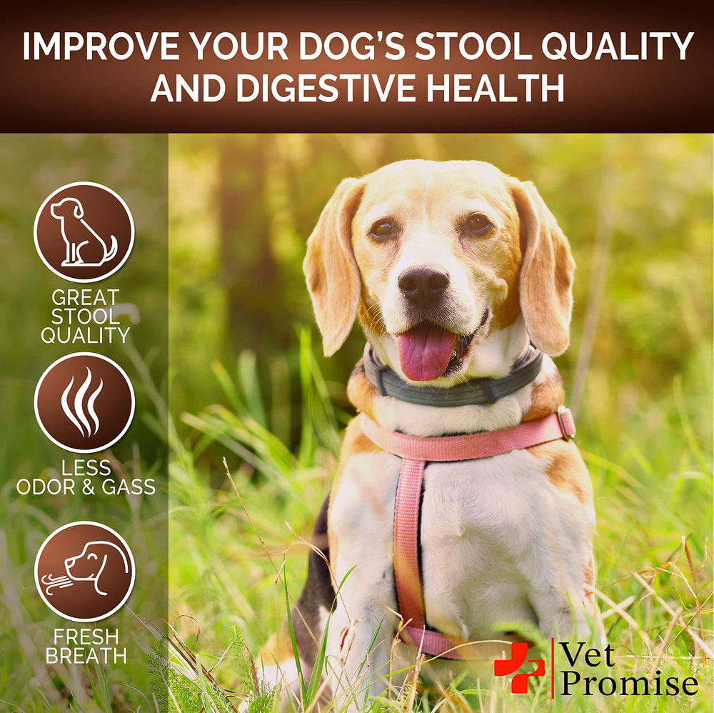 Caja del producto Vet Promise Super Poop Probióticos en envase seguro y fácil de usar.
