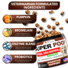 Perro masticando Vet Promise Super Poop Probióticos, sabor agradable para favorecer la regularidad.