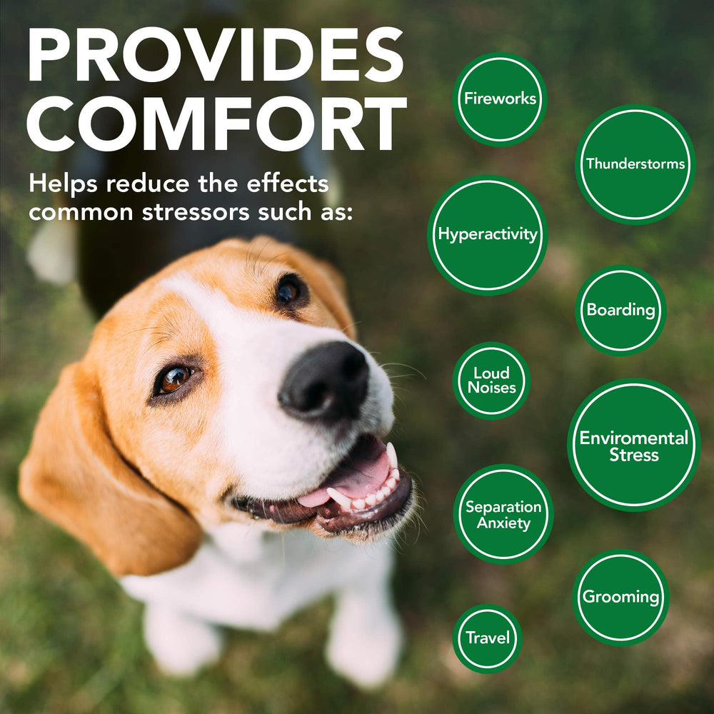 Paquete de Vet’s Best Comfort Calm, empaque práctico para uso diario.