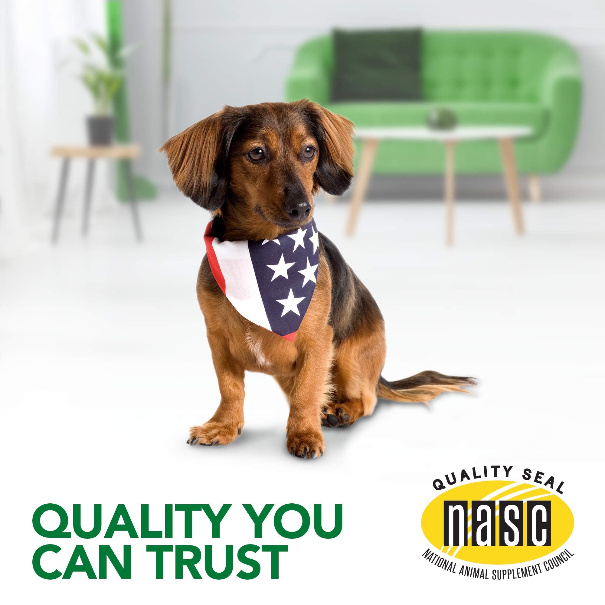 Golosinas Vet’s Best Comfort Calm, fuente de tranquilidad diaria para perros.