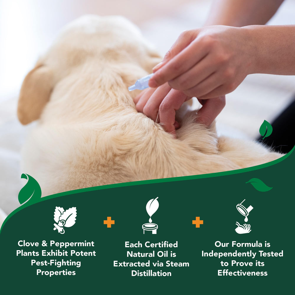 Vet's Best perro grande cómodo: fórmula suave para piel sensible.