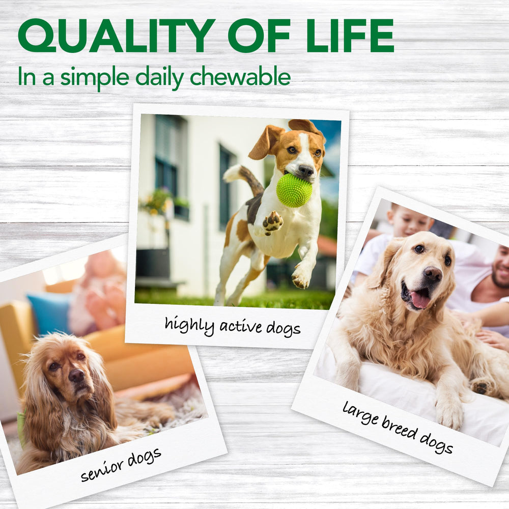 Apoyo articular para perros activos con Vet’s Best.