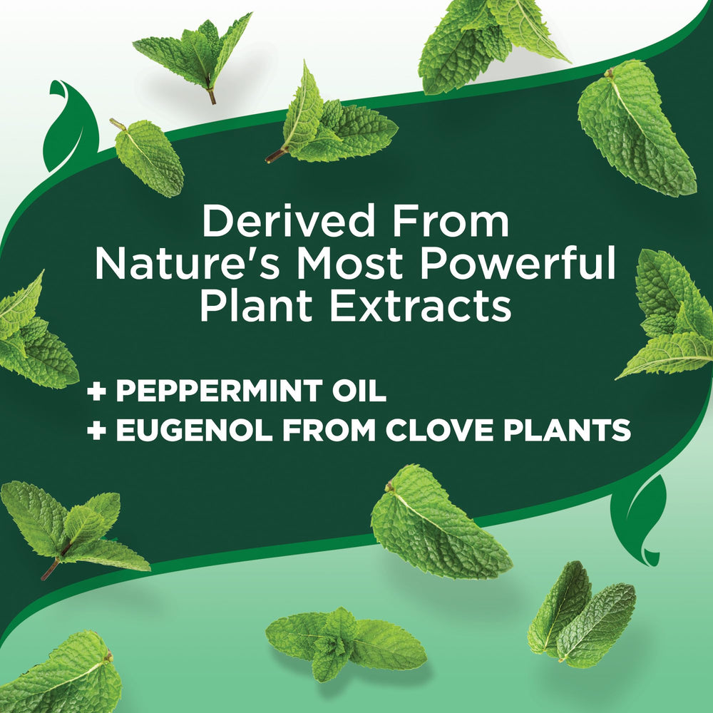 Ingredientes naturales de Vet's Best: menta y clavo para control selectivo de plagas.