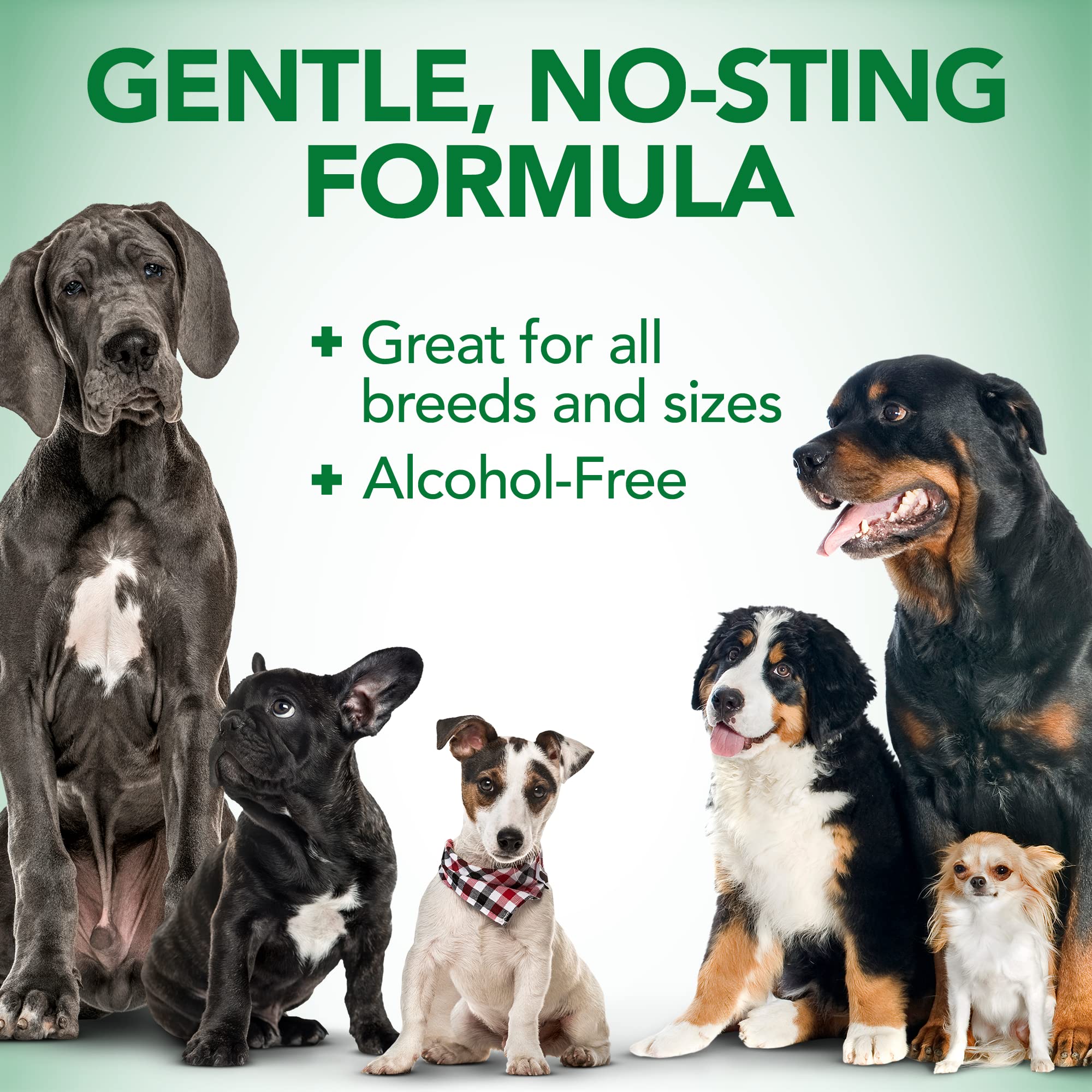Ingredientes naturales de Vet's Best para orejas de perros